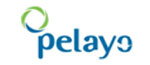 Icono_aseguradora_pelayo
